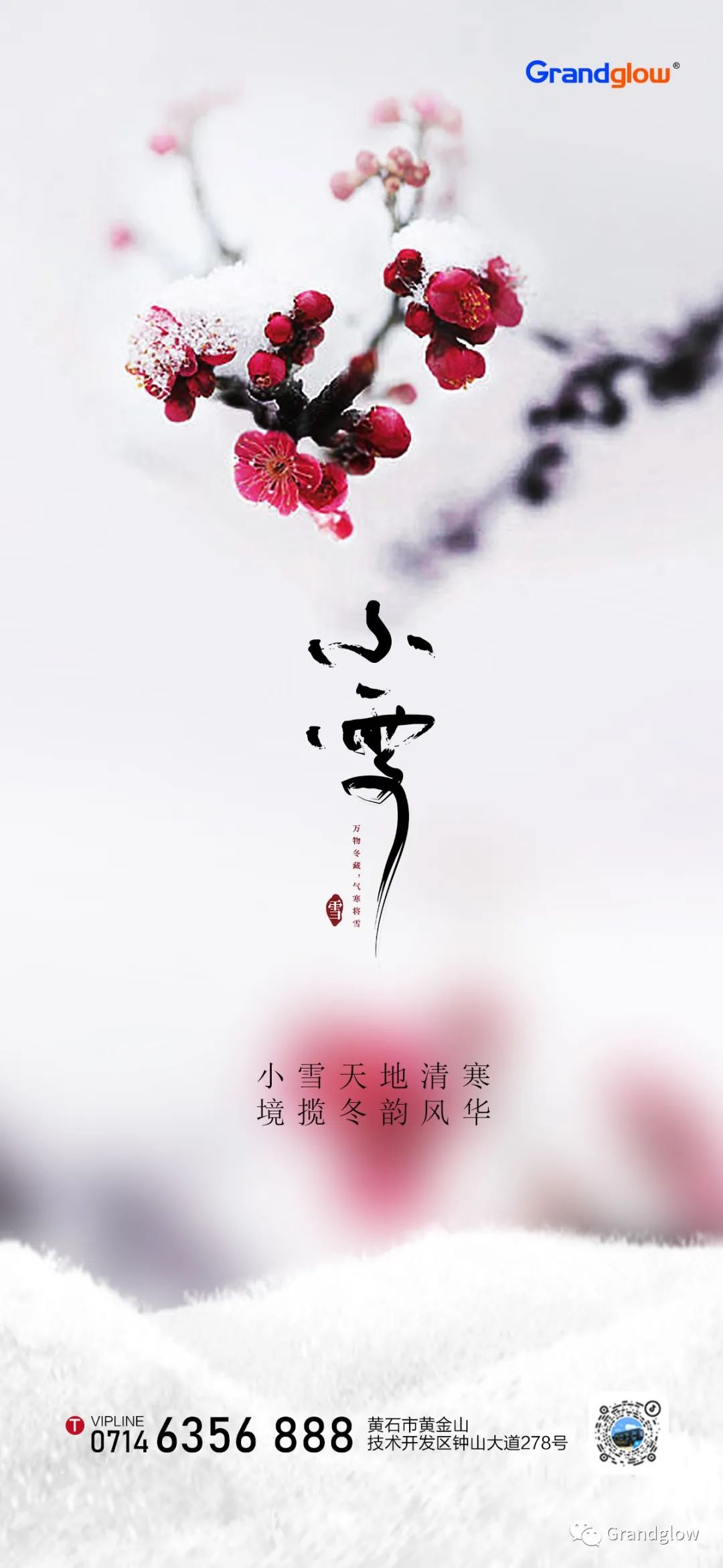 1700640268152190.jpg 640.jpg